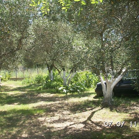 House Souzanna Daire Toroni Dış mekan fotoğraf