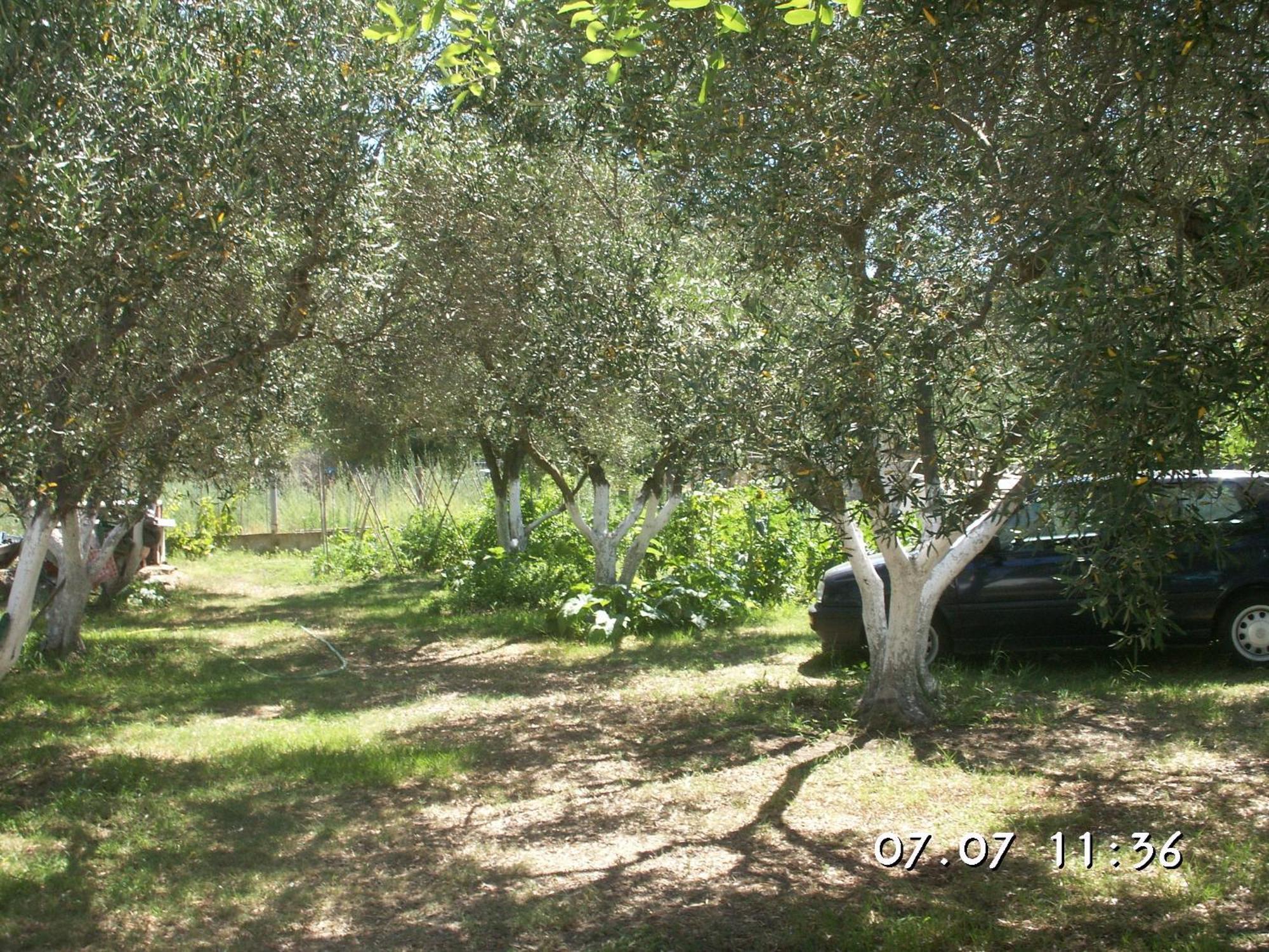 House Souzanna Daire Toroni Dış mekan fotoğraf